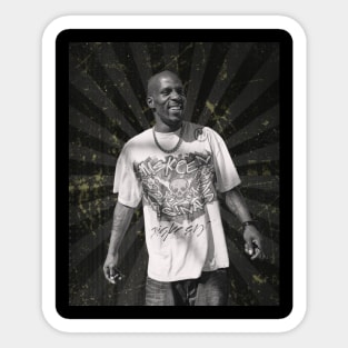 DMX Sticker